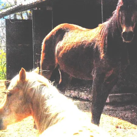 Séjour à la ferme Cascina Del Sole