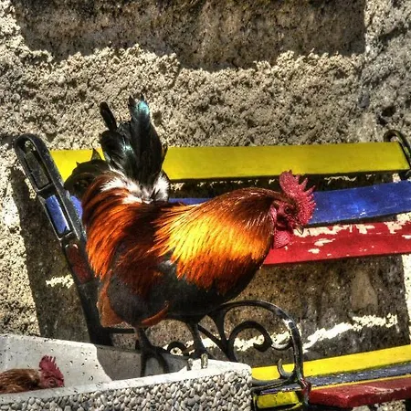 Séjour à la ferme Cascina Del Sole