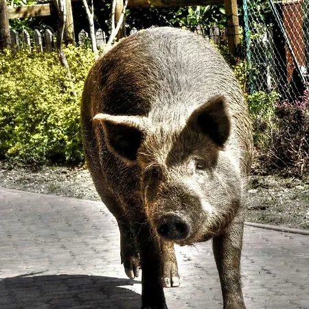 Séjour à la ferme Cascina Del Sole Asso