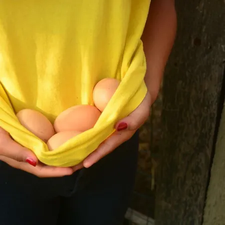 Séjour à la ferme Cascina Del Sole
