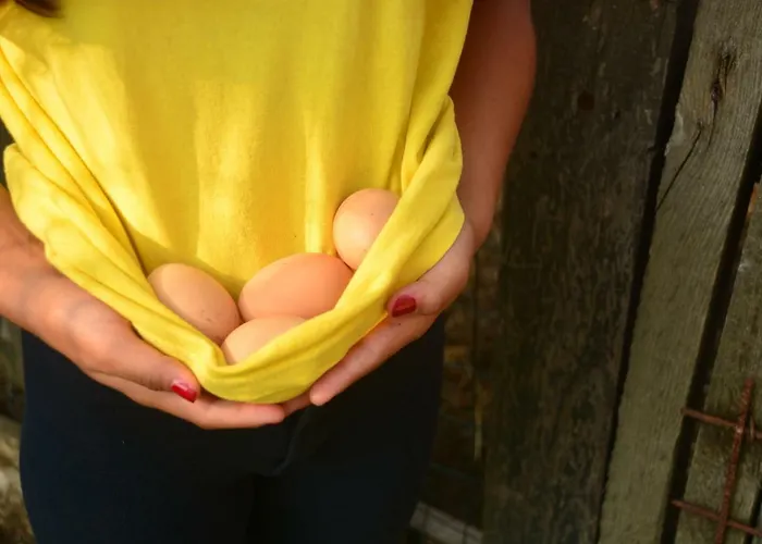 Agroturismo Cascina Del Sole