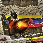 ファームステイ Cascina Del Sole