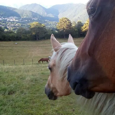 Alojamento de Turismo Rural Cascina Del Sole Asso